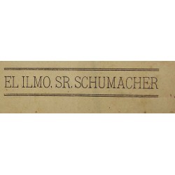 El Ilmo. Sr. Schumacher